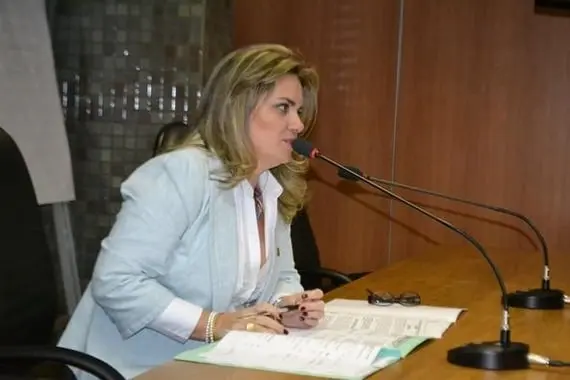 Comissão do Porto Sul participa de reunião no Ministério dos Transportes