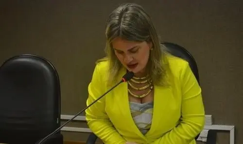 Deputados irão à Brasília discutir obras rodoviárias e obras da Fiol