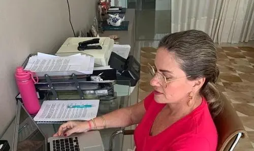 Presidente da Unale e Presidentes das Assembleias realizam reunião virtual