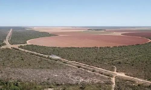 Exército se apresenta como uma solução para obras da Fiol, diz Ivana Bastos