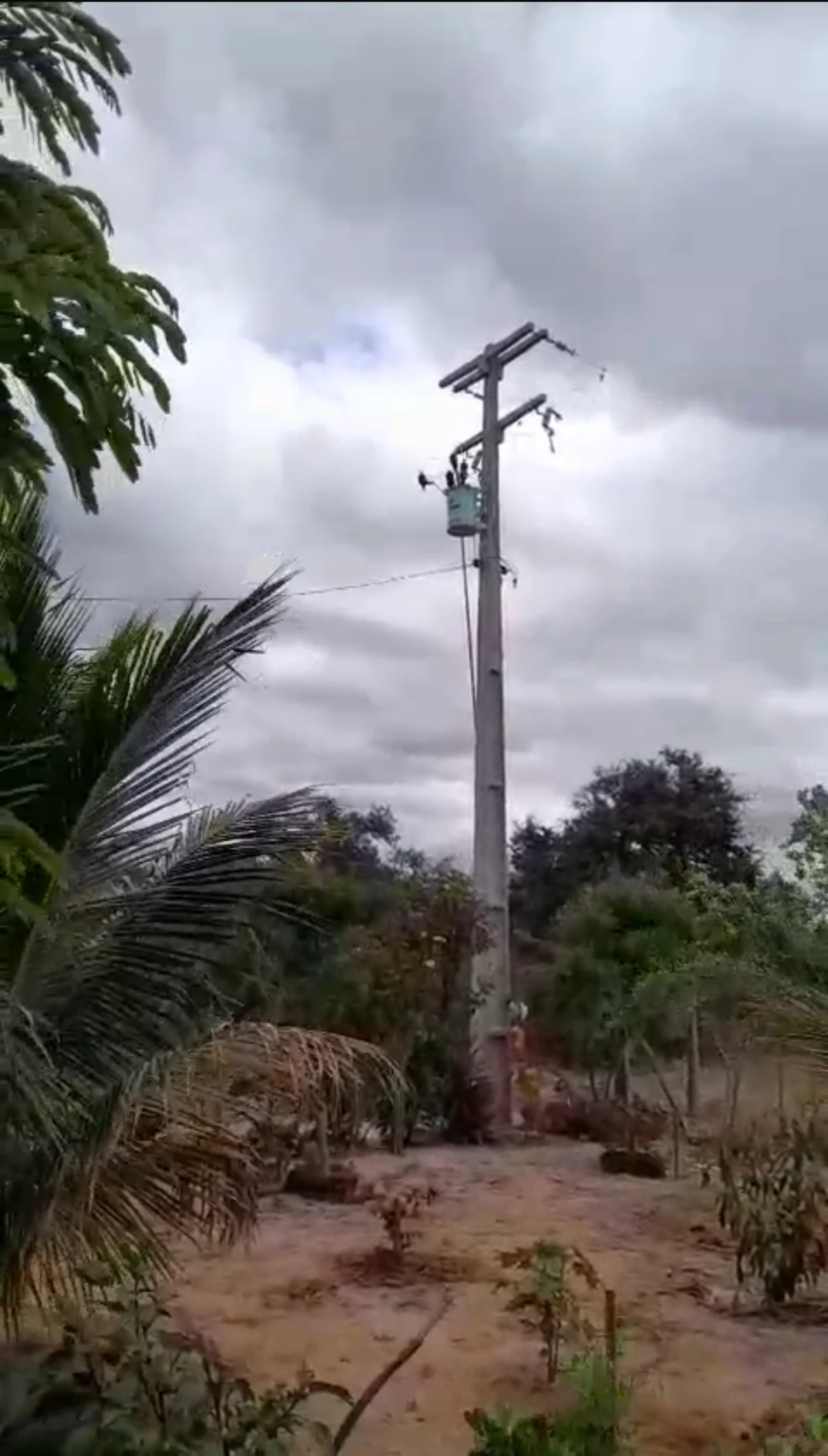 Trabalho de Ivana Bastos garante energia elétrica para famílias de Botuporã